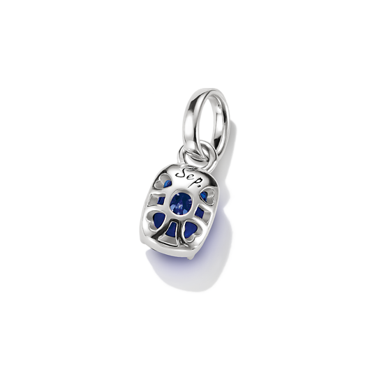 Thomas Sabo - Connect / Monatsstein September
