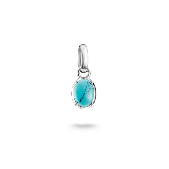 Thomas Sabo - Connect / Monatsstein Dezember